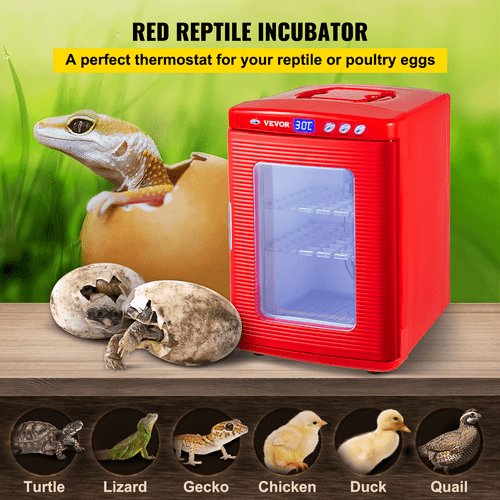 Red Reptile Incubator 25L Scientific Lab Incubator Digital Incubator Cooling and Heating 5-60Ã¸C Reptile Egg Incubator 12V/110V Work for Small Reptiles