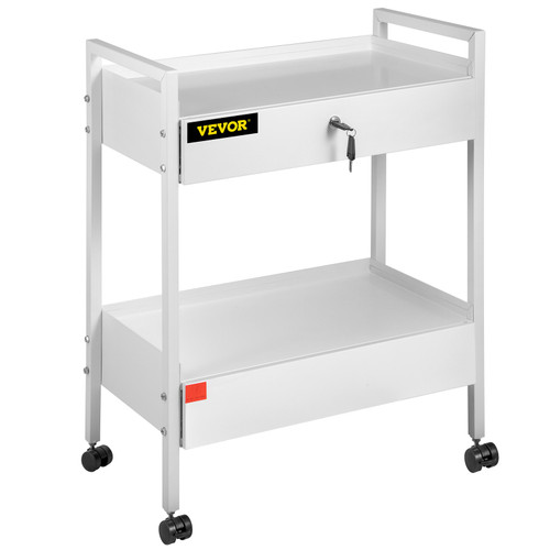 Lab Cart, 2 Tiers Stainless Steel Utility Cart Medical Cart 2 Drawers Rolling Lab Cart White Paint Serving Cart with 360ø Casters for Laboratory Hospital Dental Office Salon Beauty