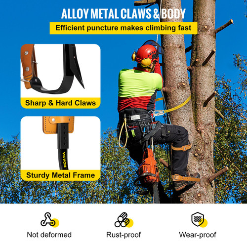 Tree Climbing Spikes, 3 in 1 Alloy Steel Adjustable Pole Climbing Spurs, w/ Security Harness and Lanyard, Arborist Equipment for Climbers, Logging, Hunting Observation, Fruit Picking