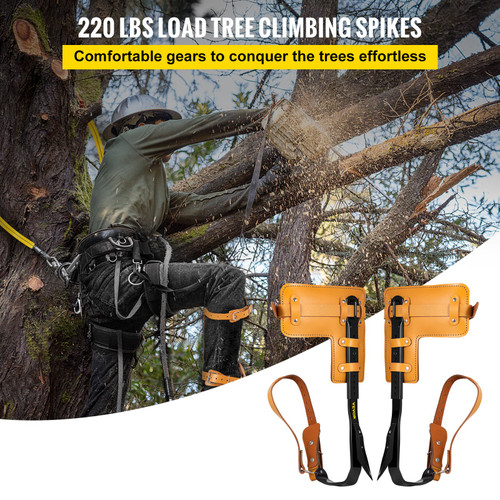 Tree Climbing Spikes, 3 in 1 Alloy Steel Adjustable Pole Climbing Spurs, w/ Security Harness and Lanyard, Arborist Equipment for Climbers, Logging, Hunting Observation, Fruit Picking
