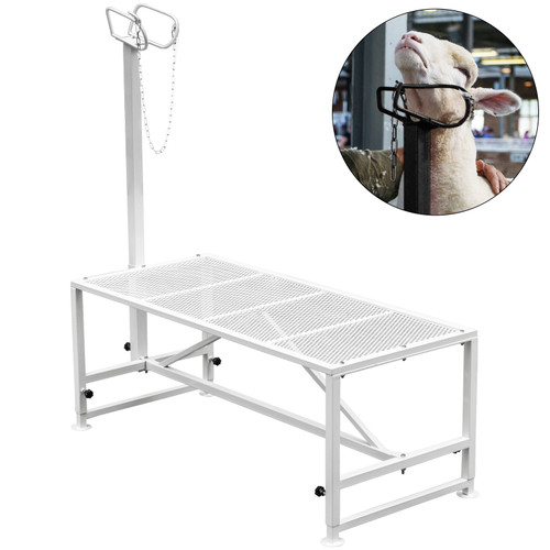 Livestock Stand 51x23 inches, Trimming Stand with Straight Head Piece, Goat Trimming Stand Metal Frame Sheep Shearing Stand Livestock Trimming Stands