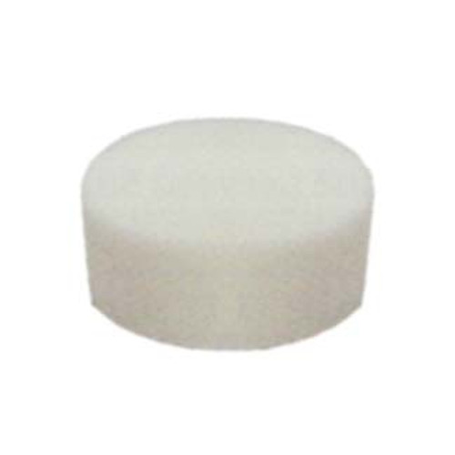 Polishing Foam Pad