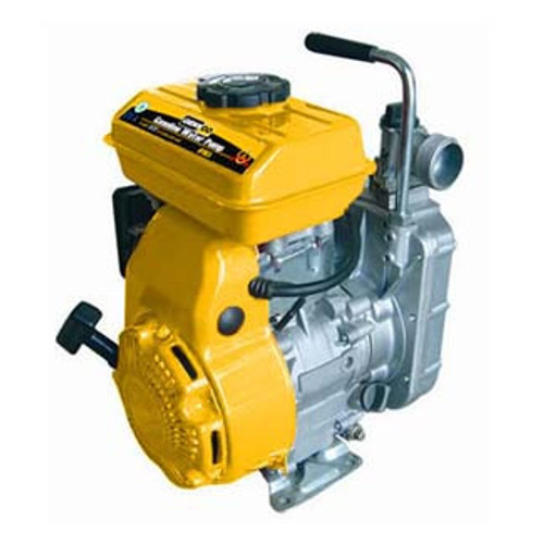 1 in  Gasoline Water Pump