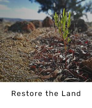 restore-the-land.jpg