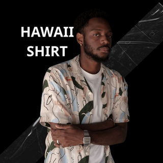 Hawaii Shirt