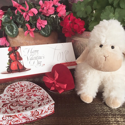 Valentine's Day at Lammes - What you need to know!