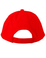 A red cap with a curved brim and adjustable strap at the back. It features a logo.