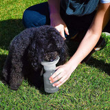 A drink bottle with a grey body and a detachable, dog-friendly cup on top, held by a person on grass.