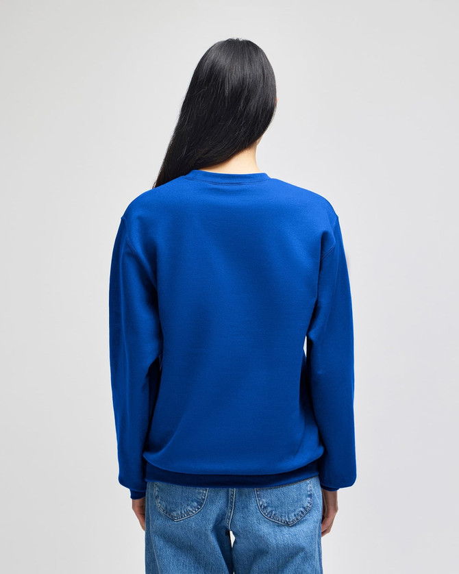A blue crewneck sweatshirt is displayed from the back, featuring long sleeves and a simple design.