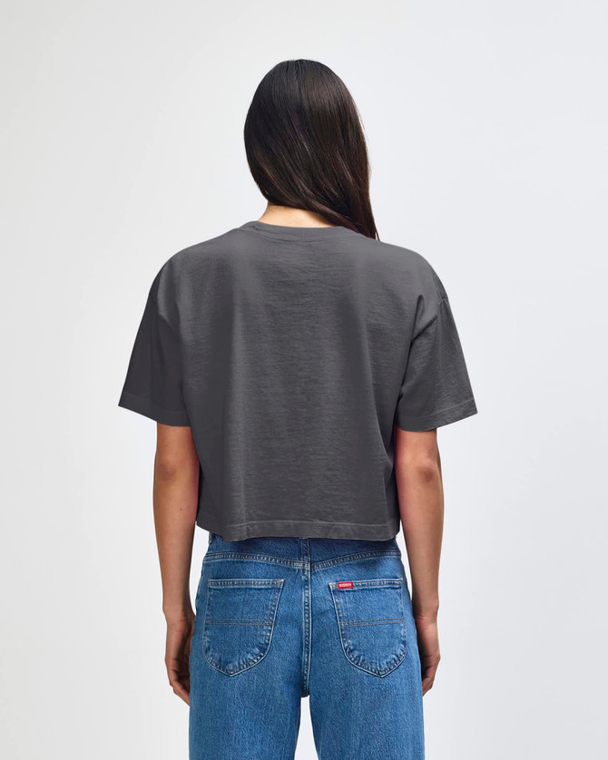 A grey crop boxy t-shirt made from heavyweight cotton, featuring a simple design and a logo.