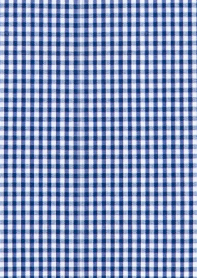 A fabric featuring a blue and white checked pattern, suitable for shirts or similar garments.