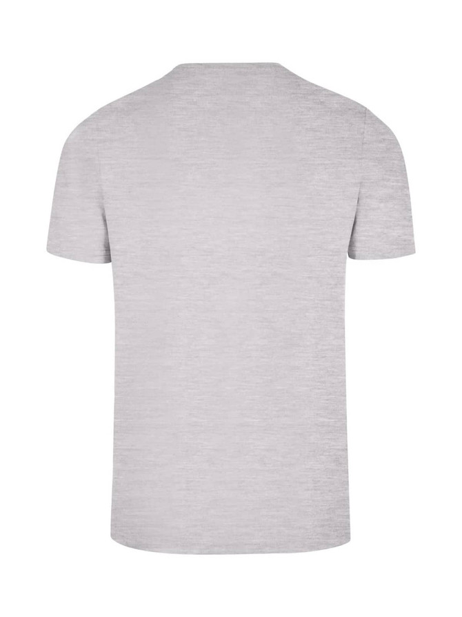 A grey men's slim fit T-shirt with a plain back and short sleeves, featuring a small logo.