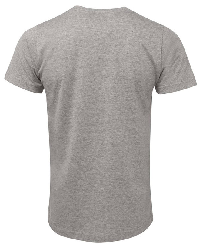 A grey fitted T-shirt with short sleeves, featuring a logo on the back.