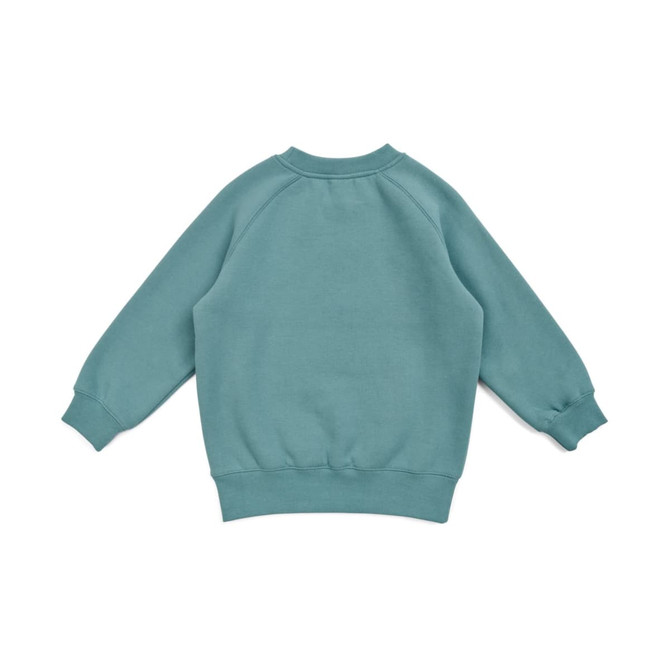 A mint green kids' sweatshirt featuring a crew neck and long sleeves, with ribbed cuffs and hem. It has a logo.