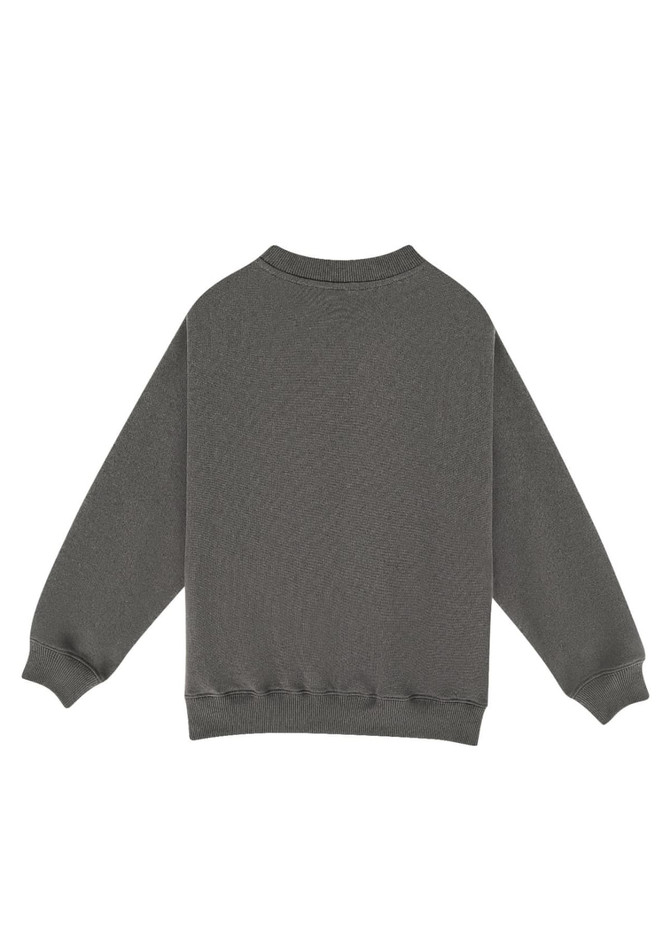 A kids' crew neck jumper in a muted green colour, featuring long sleeves and ribbed cuffs. It has a branding logo.