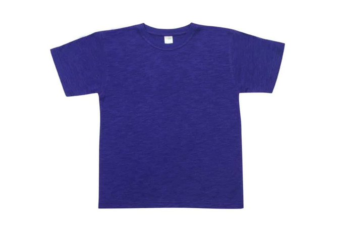 A purple bamboo cotton T-shirt with short sleeves and a round neckline, featuring a logo.