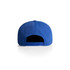A blue cap with a flat brim and an adjustable strap at the back. Features a logo on the side.