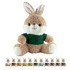 A brown plush rabbit with a white face, wearing a green shirt, surrounded by eight smaller colourful plush rabbits.