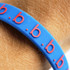 A blue silicone wristband with red embossed lettering, designed for exhibitions and events.