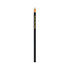 A black pencil featuring a hexagonal shape and a light-coloured eraser at the end. The pencil has a logo.