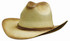 A straw cowboy hat in a tan colour with a brown band around the base and a curved brim.