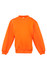 An orange crew neck jumper with long sleeves and a fitted hem. It features a label inside the collar.