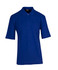 A blue men's regular pique knit polo shirt with a collar and short sleeves, featuring a small logo.