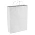 A white paper shopping bag with rope handles, featuring a minimalistic design and no visible branding.