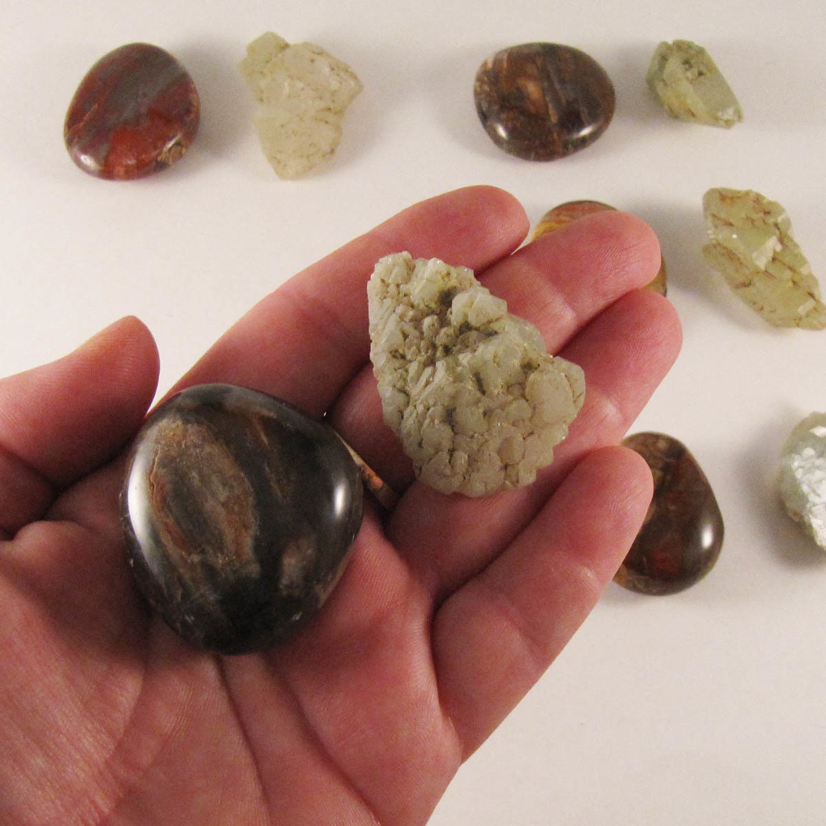 Petrified Wood & Green Earth Healing Quartz Pocket Rock Set