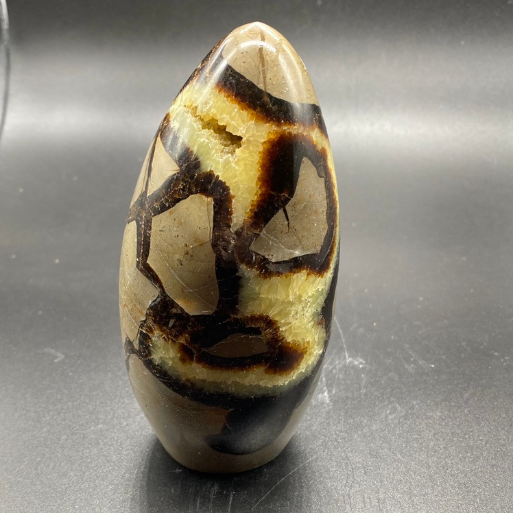 Septarian Freeform Sculpture at Enter the Earth
