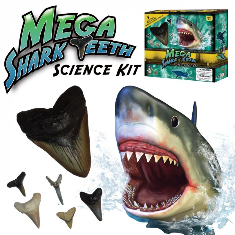 Dr. Cool Science MEGA SHARK TEETH KIT - 5 Real Shark Teeth & 1