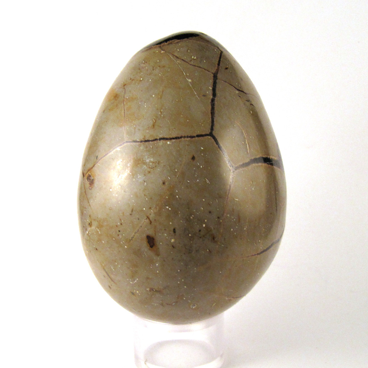 Septarian Dragon Egg FSEPT002 Enter the Earth, Inc