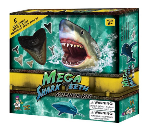 Dr. Cool Science MEGA SHARK TEETH KIT - 5 Real Shark Teeth & 1