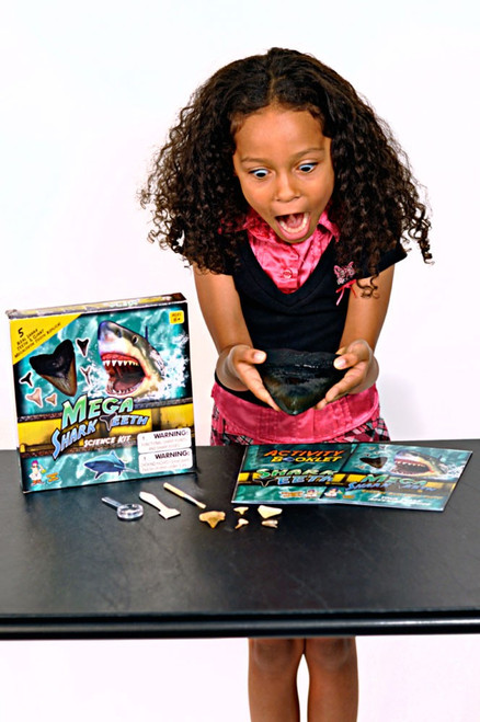 MEGA SHARK TEETH サメの歯の科学キット Dr. Cool Science MEGA SHARK TEETH KIT - 5 Real Shark Teeth & 1