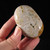 Ocean Jasper Pebble  MOJPEB061