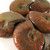 Red Opalescent Flash Whole Ammonite, one (1) piece - FRedA018