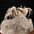 Madagascar Fossilized Crab - FCRAB001