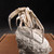 Madagascar Fossilized Crab - FCRAB002