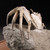 Madagascar Fossilized Crab - FCRAB002