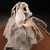 Madagascar Fossilized Crab - FCRAB002