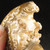 Sutured Blonde Ammonite Whole MDAMM014 Sutured Blonde Ammonite Whole MDAMM014
