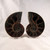 Mahajanga Ammonite Split Pair MDAMM002