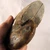 Mahajanga Ammonite Split Pair MDAMM002