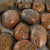 Ibis Jasper Pebbles MDSG095