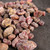 Rough Ruby 100 gram Bag MDBULK009