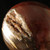 Petrified Wood Sphere MDPETW011