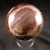 Petrified Wood Sphere MDPETW011