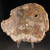 Large Petrified Wood Slab MDPETW001