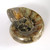 Ammonite Bowl / Dish - GBWL005
