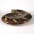 Ammonite Bowl / Dish - GBWL003